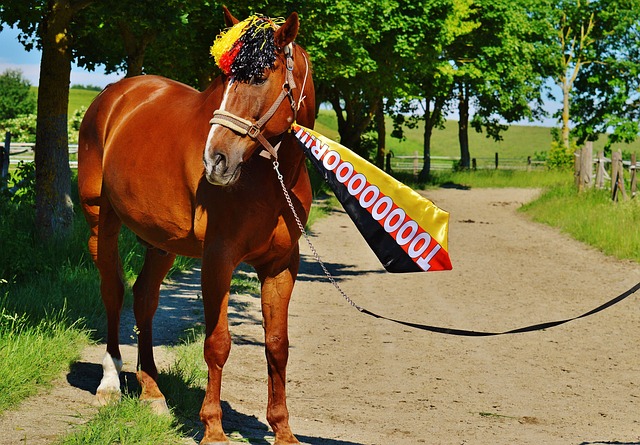 雷霆队的崛 雷霆队的崛