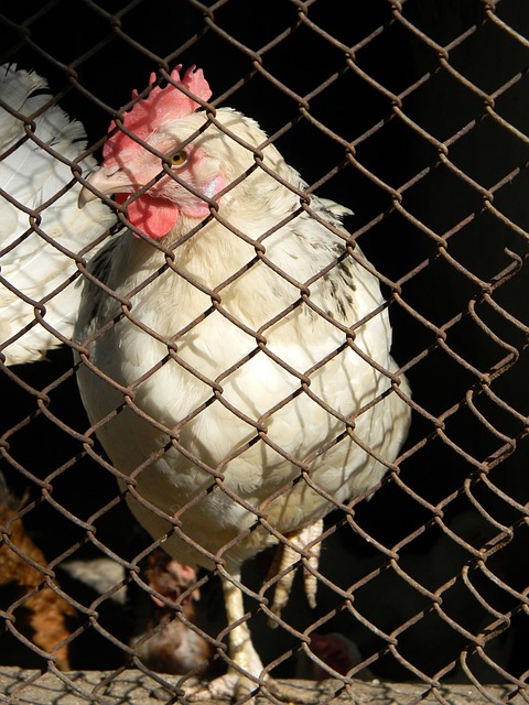 也意味着他 也意味着他