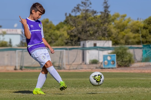 本屆賽事的 本屆賽事的