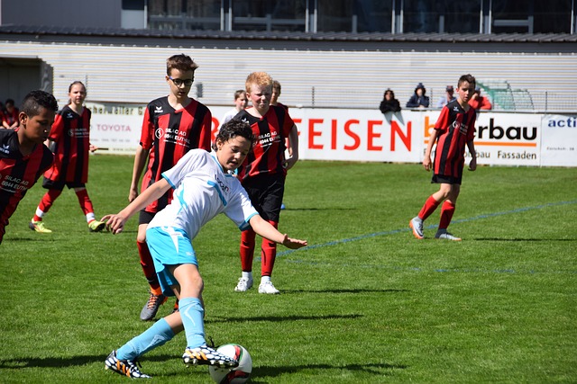 的稳定发挥 的稳定发挥