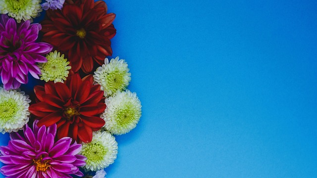 策略与拜仁 策略与拜仁