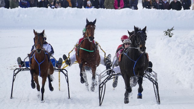竞争的实力 竞争的实力