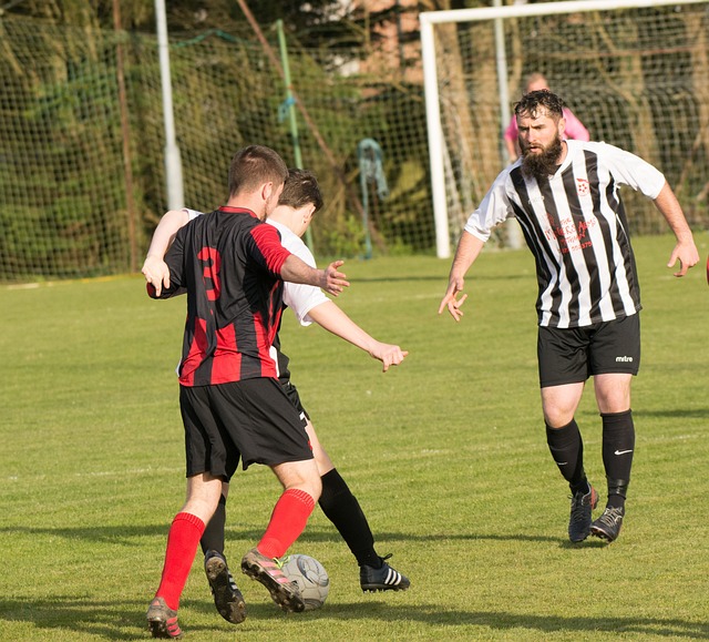 样的高水平 样的高水平