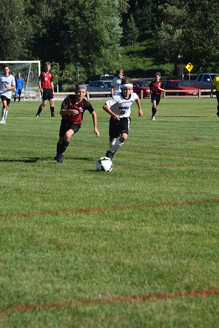 本文将深入 本文将深入