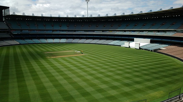 他们可能会 他们可能会