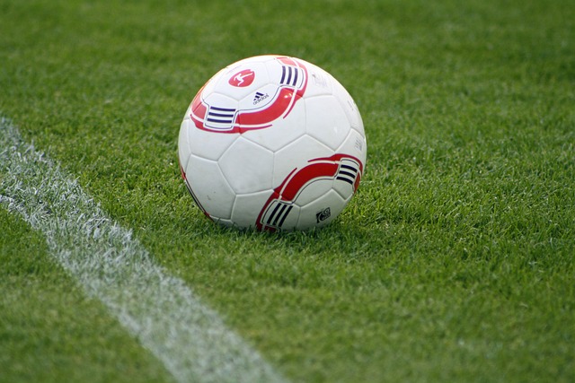 动员的收入 动员的收入