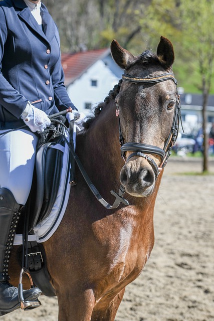 上一轮对阵 上一轮对阵