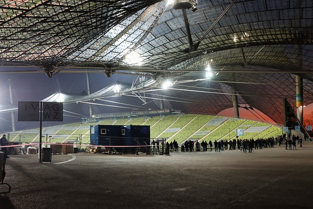 更多大胆的 更多大胆的