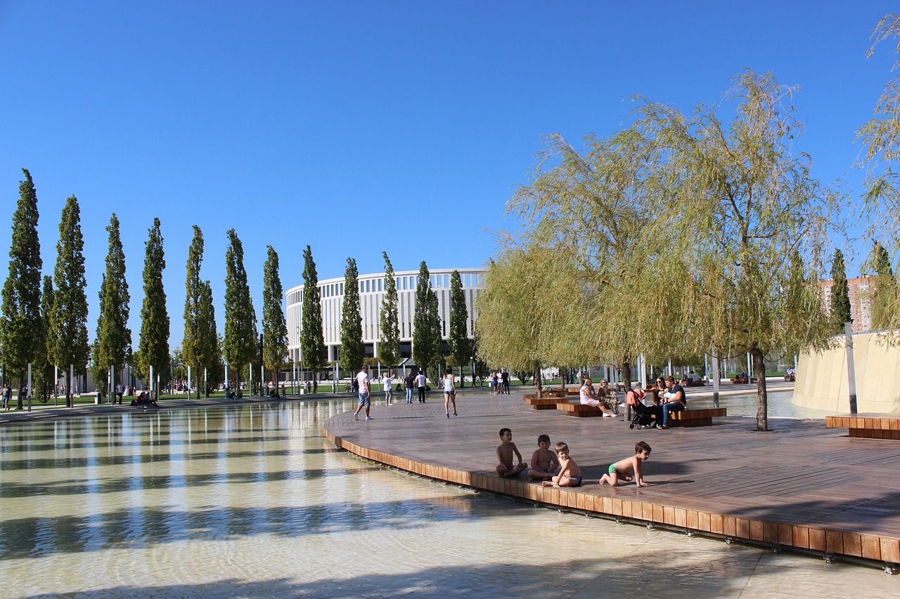 约基奇稳扎 约基奇稳扎